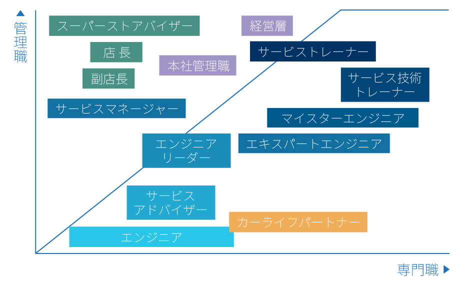 SEの多彩なキャリアアップイメージを解説した図
